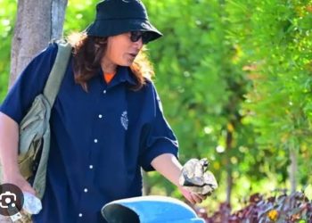 Pemerhati Lingkungan: Pemilahan Sampah Bukan Matikan Rezeki Pemulung, Justru Buka Peluang Ekonomi