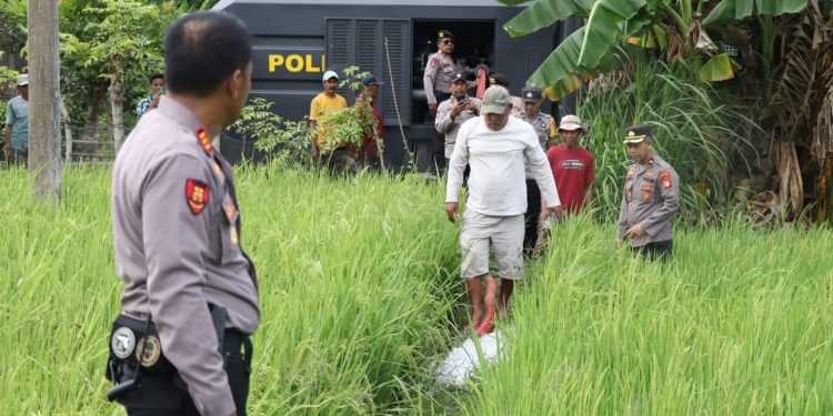 Polres Bulukumba Gerak Cepat Bantu Petani Atasi Kekeringan Sawah