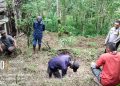 Tak Hanya ke Rumah Warga, Bhabinkamtibmas Sambangi Kebun Petani Sampaikan Pesan Kamtibmas