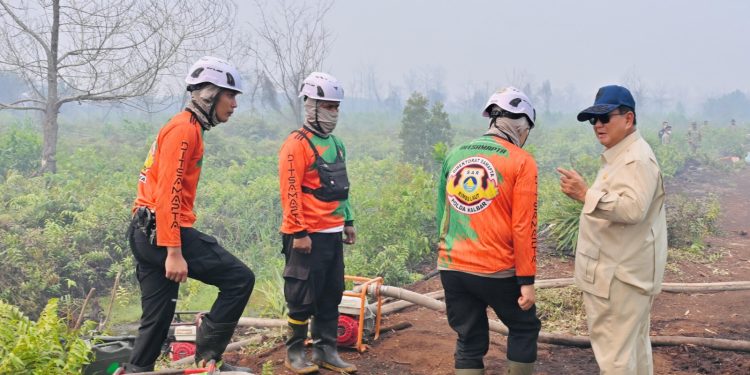 Pantau Langsung Karhutla! Presiden Susuri Lahan Terbakar Desa Limbung
