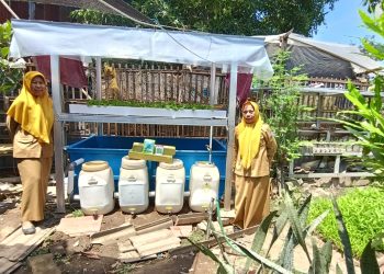 Dukung Ketahanan Pangan Warga, Poktan Balangbaru Dapat Bantuan Lengkap Urban Farming