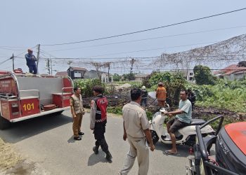 Bakar Sampah Sembarangan Picu Karhutla di Palopo, Api Berhasil Dipadamkan