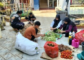 SMPN 23 Makassar Kembangkan Urban Farming, Tiga Kali Panen Sejak Agustus